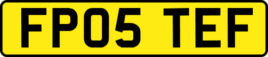 FP05TEF