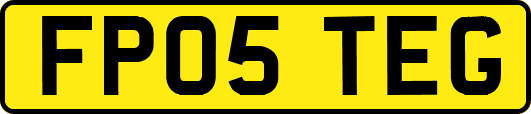 FP05TEG