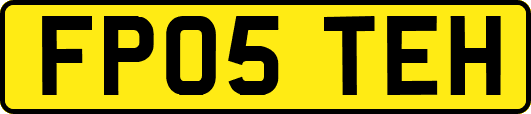 FP05TEH