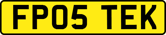 FP05TEK