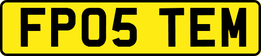 FP05TEM