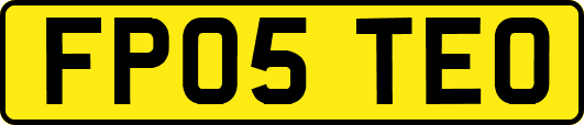 FP05TEO