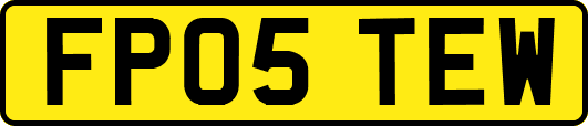 FP05TEW
