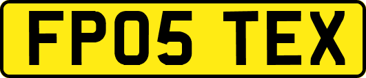 FP05TEX