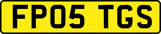 FP05TGS