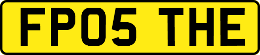 FP05THE