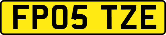FP05TZE