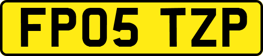 FP05TZP