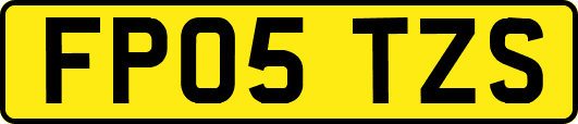 FP05TZS
