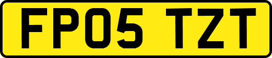 FP05TZT