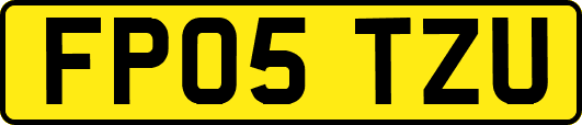 FP05TZU