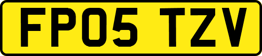 FP05TZV