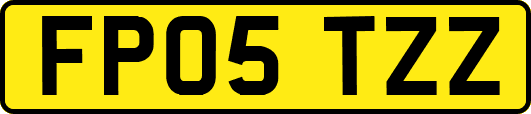 FP05TZZ
