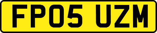 FP05UZM