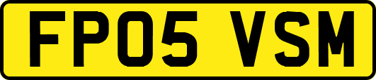 FP05VSM