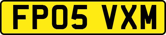 FP05VXM