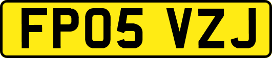 FP05VZJ