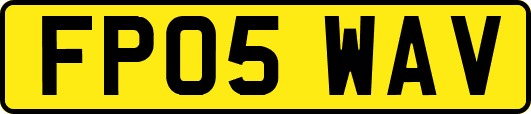 FP05WAV