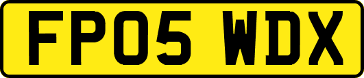 FP05WDX
