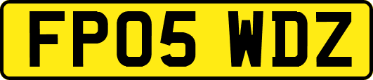 FP05WDZ