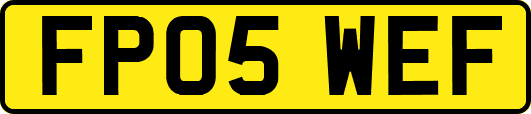 FP05WEF