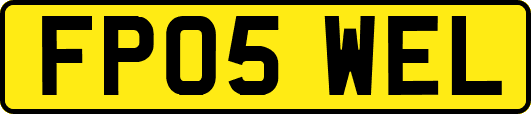 FP05WEL