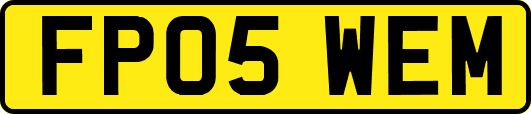 FP05WEM