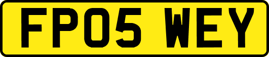 FP05WEY