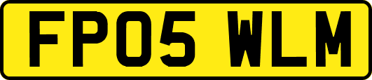 FP05WLM