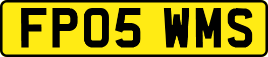 FP05WMS