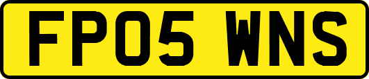 FP05WNS
