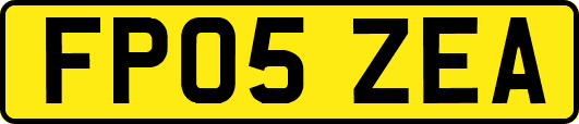 FP05ZEA