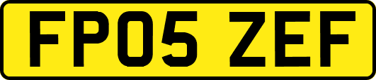 FP05ZEF