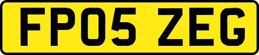 FP05ZEG