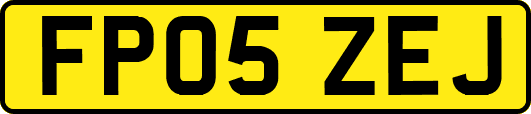 FP05ZEJ