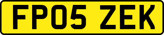 FP05ZEK