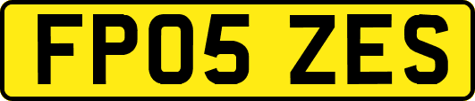 FP05ZES