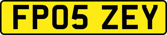 FP05ZEY