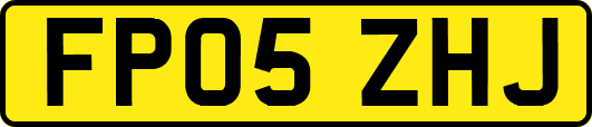 FP05ZHJ