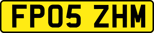 FP05ZHM