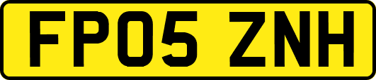 FP05ZNH