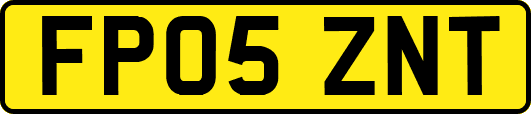 FP05ZNT