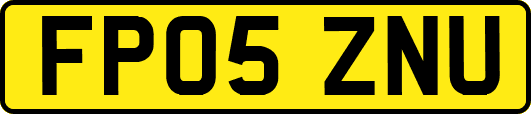 FP05ZNU