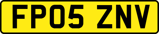FP05ZNV