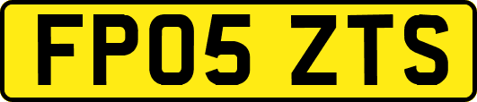 FP05ZTS