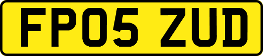 FP05ZUD
