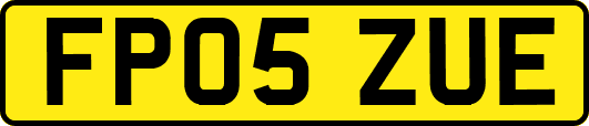 FP05ZUE