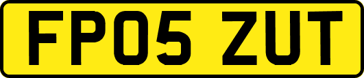 FP05ZUT