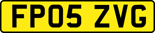 FP05ZVG