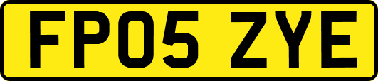 FP05ZYE